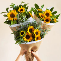 Daily Blooms Troubleshooting