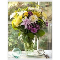 Everything You Need to Know About Flower of the Month Club