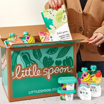 Everything You Need to Know About Little Spoon