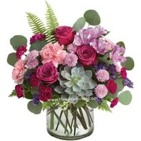 FlowerAdvisor Instruction Guide