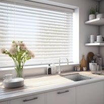 Quick Start Guide: RvBlinds