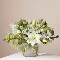 Start Using Anthemion Flowers