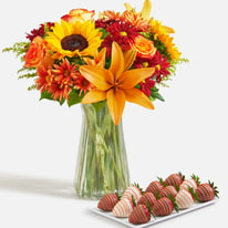 Start Using Shari's Berries