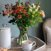Start Using The Blossomist