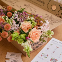 Your Guide to Using Freddie's Flowers