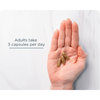 Start Using Ancient Nutrition Multi Collagen Advanced Muscle	