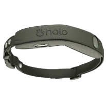 Halo Collar Fitment Guide 
