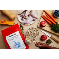 How to Feed Raw Dog Food: A Beginner's Guide