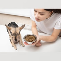 JustFoodForDogs Guide