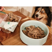 Lyka Pet Food Guide