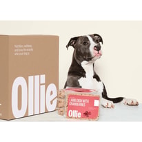 Ollie Guide