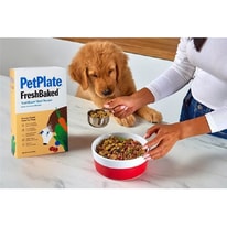 PetPlate Guide