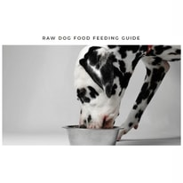 Raw Dog Food Feeding Guide