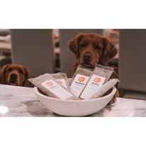 The Farmer&rsquo;s Dog Guide 