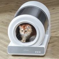 Love Cat Litter Box: The Ultimate Guide for Cat Owners