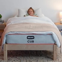 All About Bear Cub