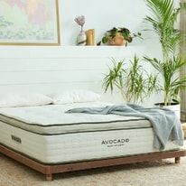 Avocado Green Mattress Malibu Platform Setup & User Guide