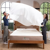 Start Using Eco Terra Eco Bliss