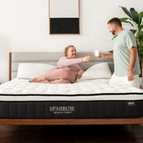 Start Using Nest Bedding Dove