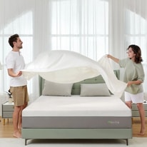 Your Novilla Quietude Assistance Guide