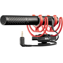 Rode VideoMic NTG Guide
