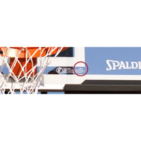 All About Spalding Arena Renegade