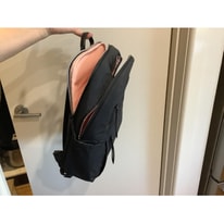 All About American Tourister Bridget