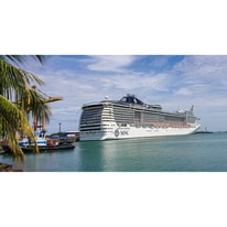 All About MSC Divina