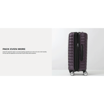 Samsonite Pivot 3 Overview