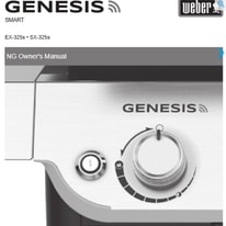 All About Weber Spirit EX-325s