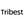 Tribest