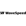 WaveSpeedAI Video