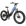 Cyrusher Roam