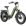 Magicycle Ocelot Pro