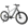 YOUNG ELECTRIC E-DualRide