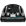 BISSELL ICONpet