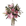 Flower of the Month Club