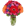 FlowerAdvisor