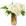Flowers for Dreams