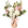Flowers for Everyone