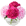 Flowers & Plants Co.
