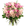Haute Florist