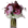 Orchid Republic