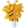 POMP Flowers