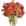 Russian Flora