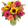Sarah's Flowers