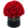 The Million Roses