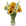 Zing Flowers