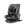 Asalvo Panafix