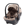 egg Shell